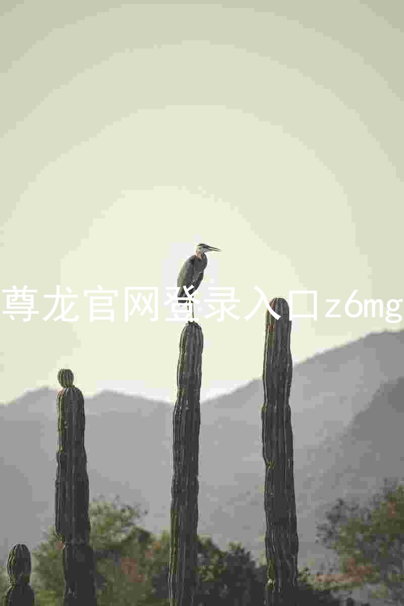 尊龙官网登录入口z6mg
