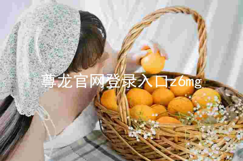尊龙官网登录入口z6mg