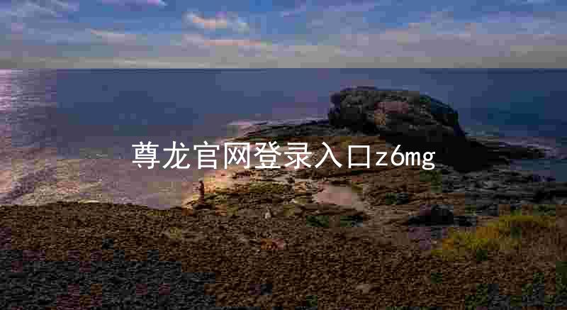 尊龙官网登录入口z6mg