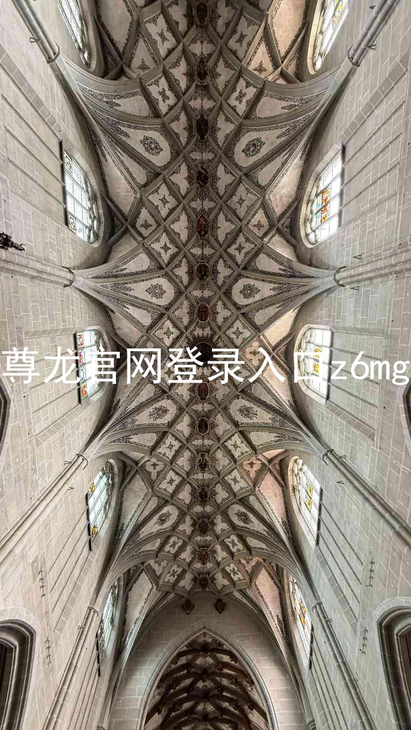 尊龙官网登录入口z6mg