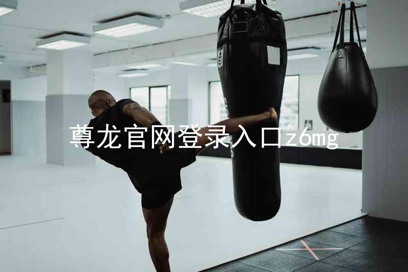 尊龙官网登录入口z6mg