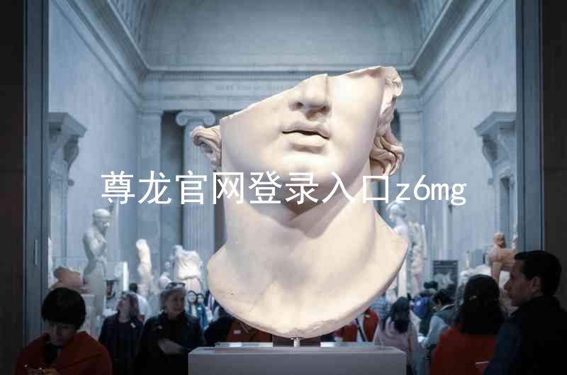 尊龙官网登录入口z6mg