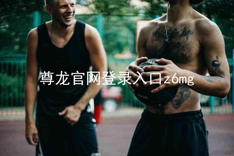 尊龙官网登录入口z6mg